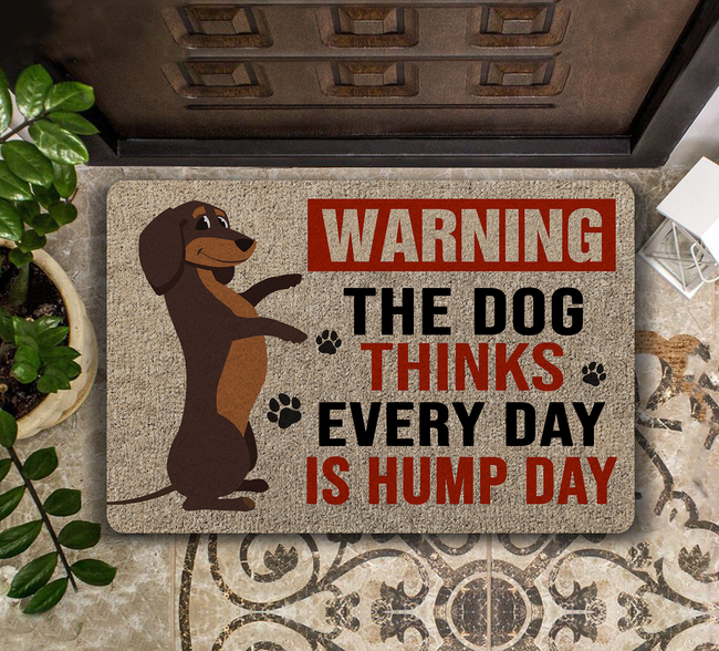 Every Day Is Hump Day