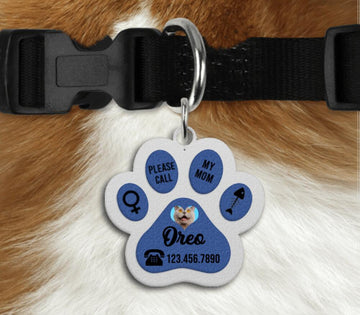 Pet Tag - Personalized Paw Shape, Gift for Pet